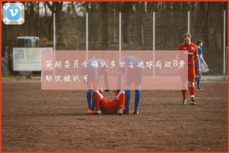 英超委员会确认多尔古进球有效B费助攻被认可